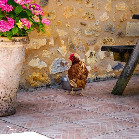 Le Nid De Faucons Villa Lalinde Luaran gambar